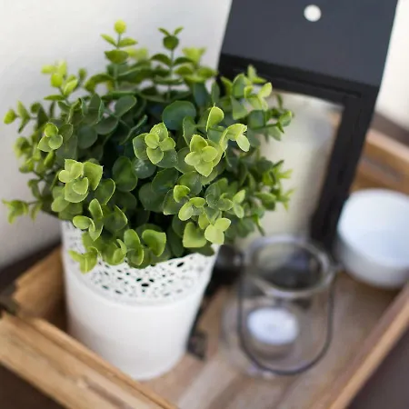 Cosy Апартаменты