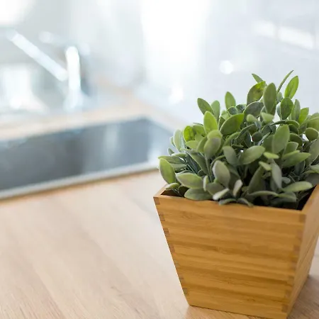 Cosy Апартаменты