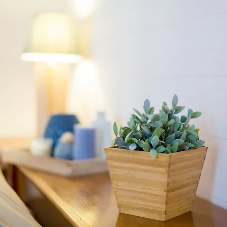 Cosy Studio Apartment Porec