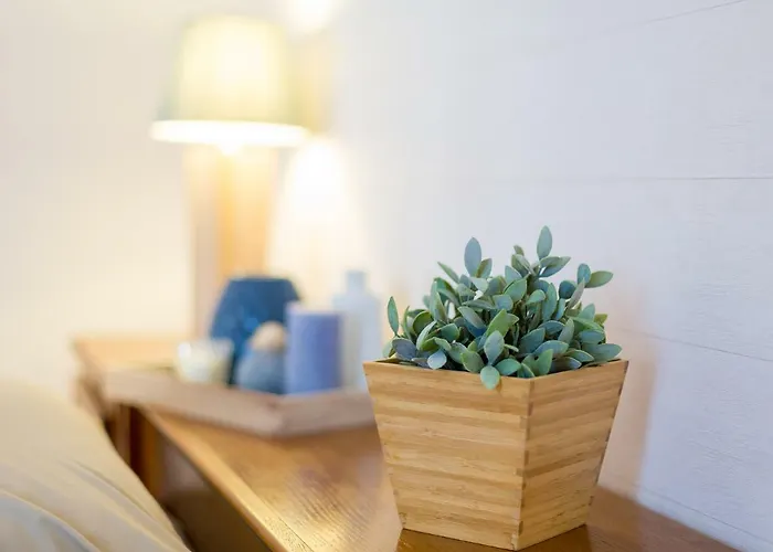 Cosy Apartamento Poreč